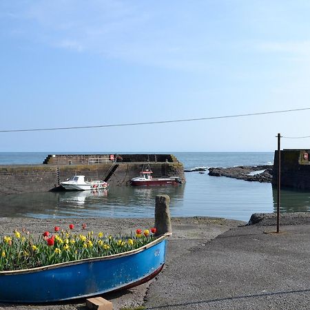 Vila Harbour View Johnshaven Exteriér fotografie
